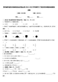 贵州省黔南布依族苗族自治州独山县2022-2023学年数学三下期末质量跟踪监视模拟试题含答案