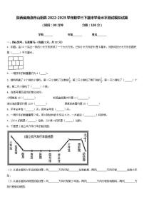 陕西省商洛市山阳县2022-2023学年数学三下期末学业水平测试模拟试题含答案