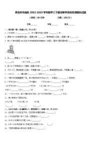 青岛市市南区2022-2023学年数学三下期末教学质量检测模拟试题含答案