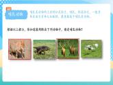 人教版數(shù)學(xué)三上 第四單元 第1課時《加法（一）》 課件+教案+練習(xí)+學(xué)案