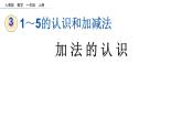 3.6 加法的认识课件PPT