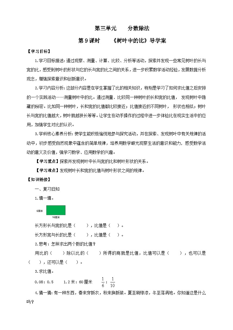 【核心素养】3.9《树叶中的比》课件+教案+导学案01