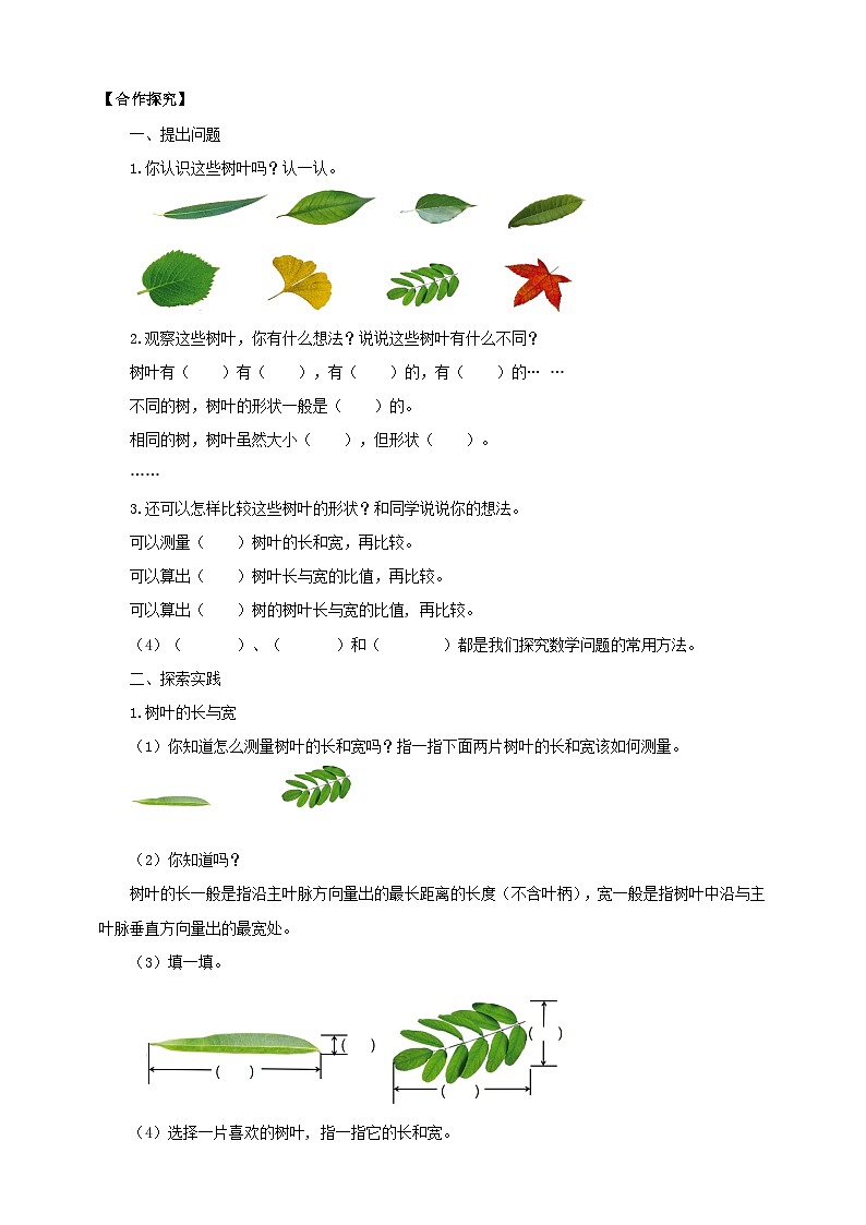 【核心素养】3.9《树叶中的比》课件+教案+导学案02