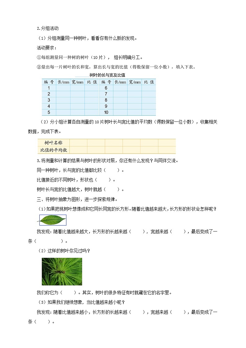 【核心素养】3.9《树叶中的比》课件+教案+导学案03