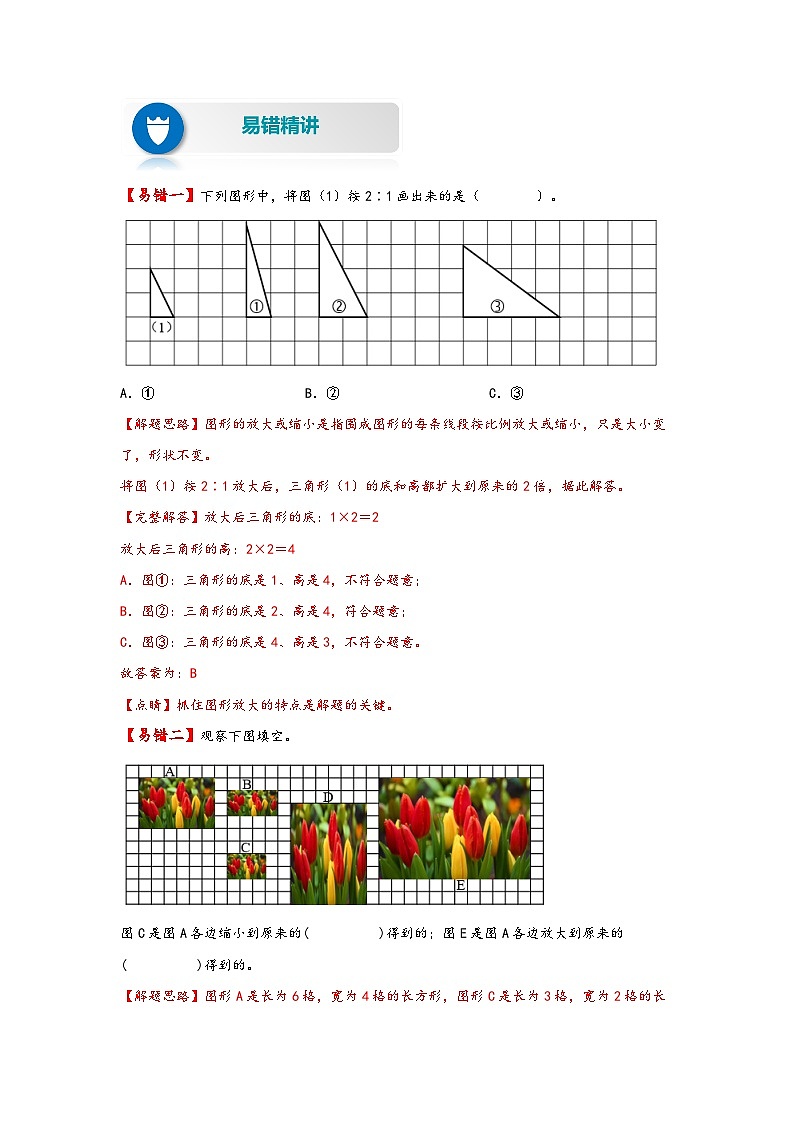 【易错精编讲义】苏教版数学六年级下册：第8讲《图形的放大和缩小》知识梳理讲义+易错练习02