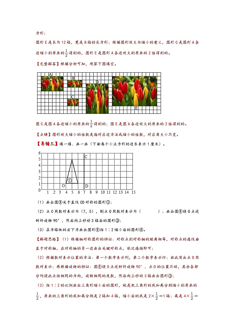 【易错精编讲义】苏教版数学六年级下册：第8讲《图形的放大和缩小》知识梳理讲义+易错练习03
