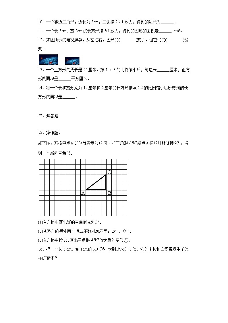 5.1图形放大或缩小同步练习-西师大版数学六年级上册02