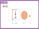 西师大版数学一年级上册 总复习 第3课时  认识图形 课件