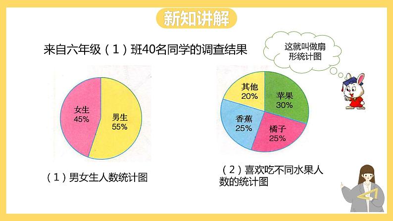 冀教版数学六上 7.1扇形统计图 课件+教案04