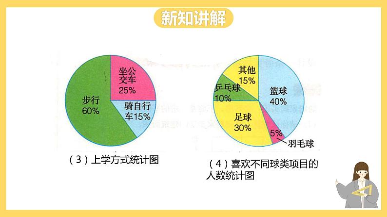 冀教版数学六上 7.1扇形统计图 课件+教案05