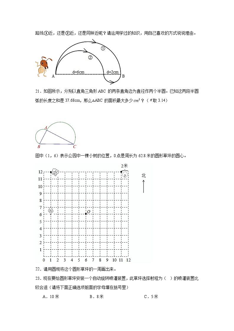 5.2圆的周长基础练习-人教版数学六年级上册第3页