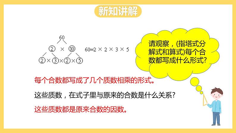 冀教版数学四上 5.5分解质因数  课件+教案07