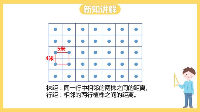 冀教版数学五上 7.4  种植面积  课件+教案06