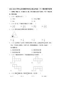 山东省德州市庆云县2022-2023学年五年级下学期期末数学试卷