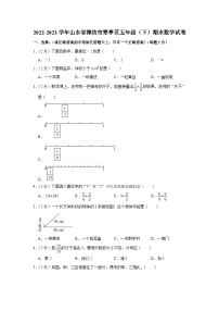 山东省潍坊市寒亭区2022-2023学年五年级下学期期末数学试卷