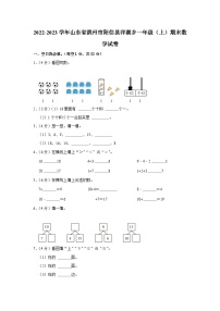 山东省滨州市阳信县洋湖乡2022-2023学年一年级上学期期末考试数学试题