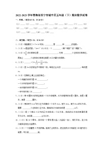 青海省西宁市城中区2022-2023学年五年级下学期期末数学试卷