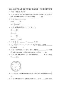 山东省济宁市金乡县2022-2023学年五年级下学期期末数学试卷