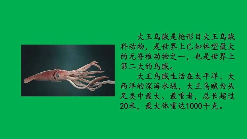 小学数学人教版六年级上册1.4 分数乘法的简便算法教学课件（2023秋）第3页