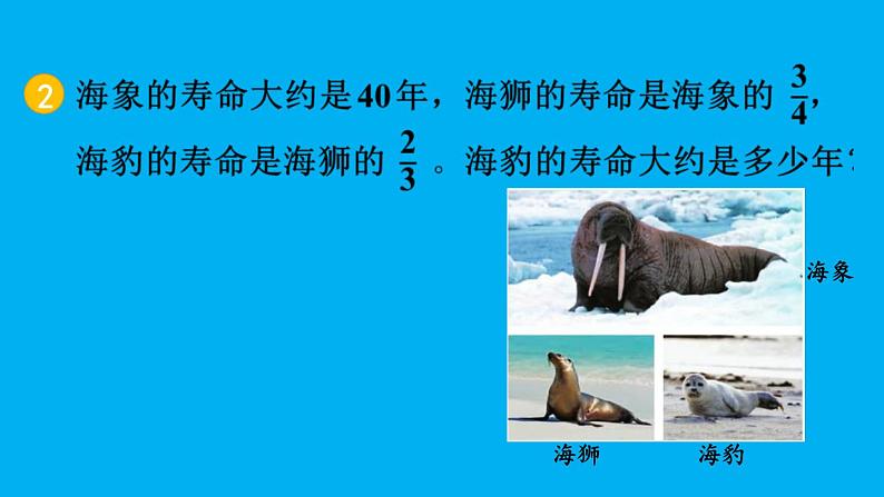 小学数学人教版六年级上册1.11 练习三教学课件（2023秋）第7页