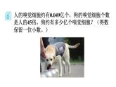 小学数学人教版五年级上册1.8 积的近似数教学课件（2023秋新版）