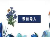 冀教版（新）六上-第四单元 2.2圆环的面积【优质课件】