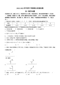 山东省淄博市临淄区2022-2023学年六年级下学期期末数学试题