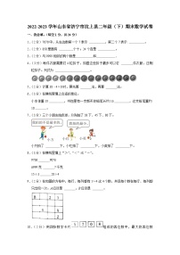 山东省济宁市汶上县2022-2023学年二年级下学期期末数学试卷