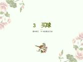北师大版数学二年级上册 8.3买球 课件