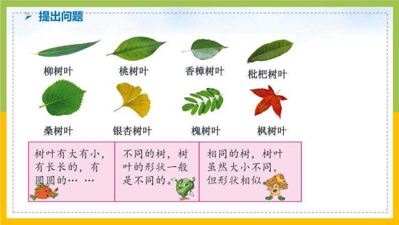 小学苏教版树叶中的比教学课件ppt-教习网|课件下载