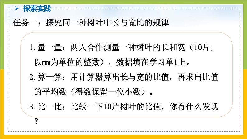 南京力学小学苏教版6年级数学上册第3单元第14课《树叶中的比》课件第7页