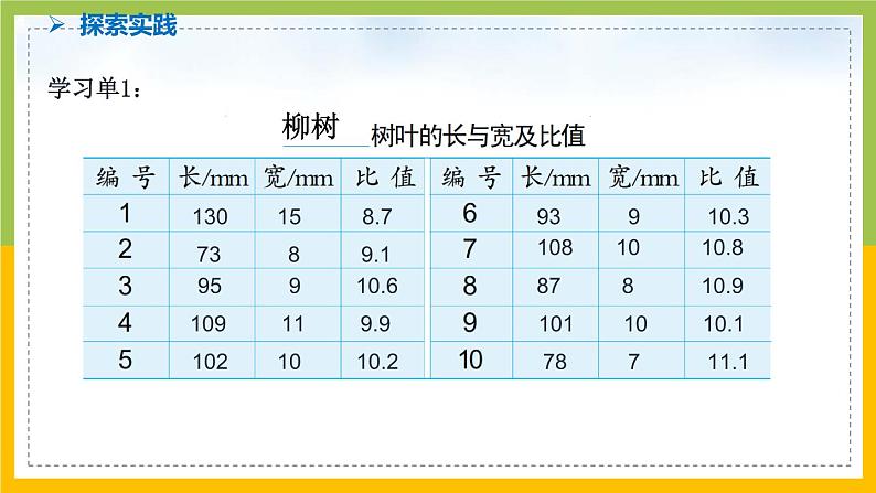 南京力学小学苏教版6年级数学上册第3单元第14课《树叶中的比》课件第8页