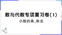 人教版五年级数学上册考点、易错综合测评卷数与代数专项复习卷（1）+PPT讲解