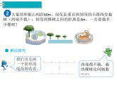 人教版数学五年级上册第7单元 数学广角—植树问题 第1课时 植树问题（1）课件