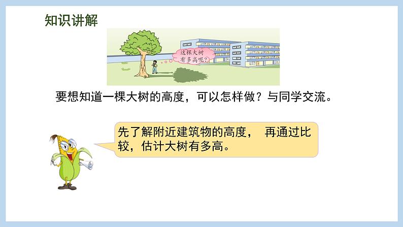 6.4 大树有多高（课件）苏教版六年级下册数学04