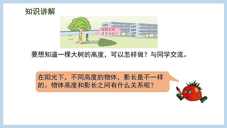 6.4 大树有多高（课件）苏教版六年级下册数学05