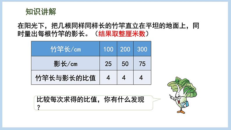 6.4 大树有多高（课件）苏教版六年级下册数学08