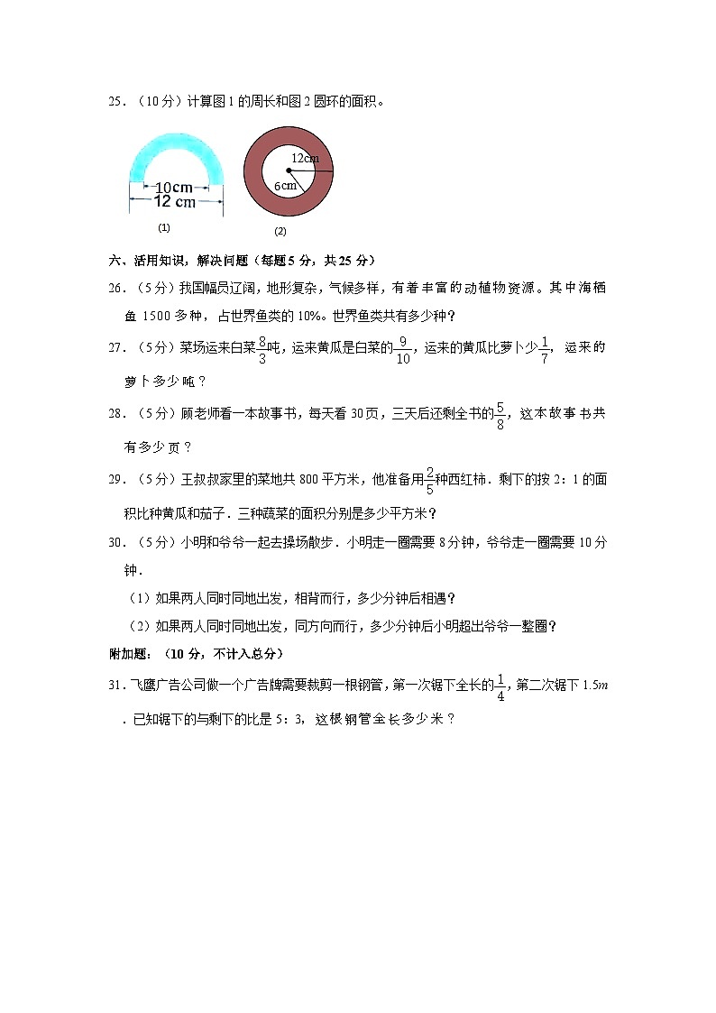 辽宁省盘锦市大洼区2020-2021学年六年级下学期开学数学试卷（3月份）第3页