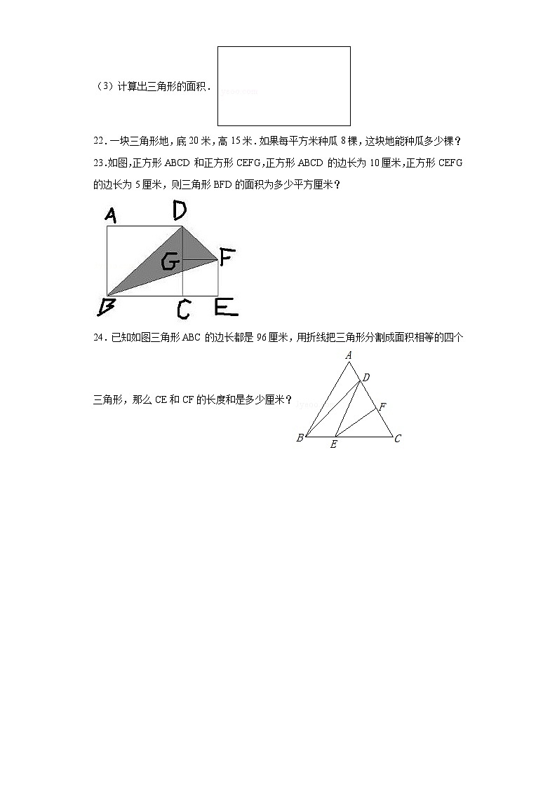 4.4探索活动：三角形的面积随堂练习-北师大版数学五年级上册03