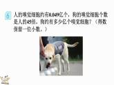 1.8 积的近似数-人教版数学五年级上册 课件