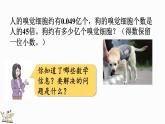 1.8 积的近似数-人教版数学五年级上册 课件