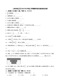 上海市松江区2020年六年级上学期数学绿色指标测试试卷