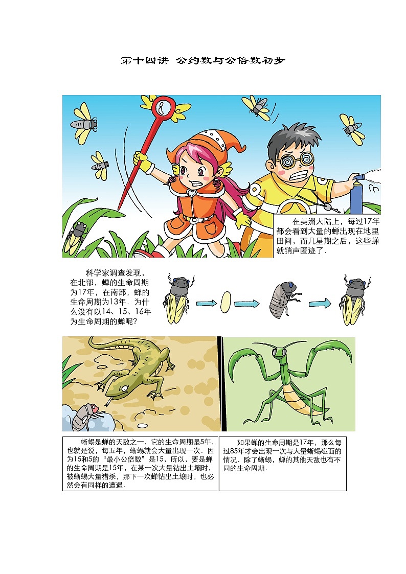 人教版五年级数学上册【课本】5年级第14讲_公约数与公倍数初步第1页