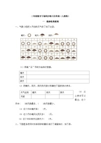 小学人教版1 数据收集整理练习