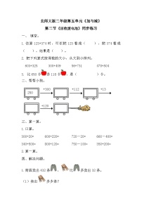 北师大版二年级下册五 加与减回收废电池复习练习题