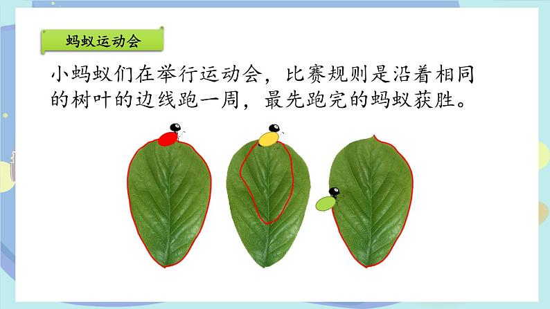 苏教版三年级上册数学认识周长公开课课件第3页