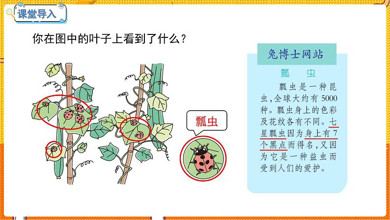 数学冀教二（上）第7单元：表内乘法和除法(二) 课时1 7的乘法口决 教学课件第4页