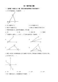 山东省淄博市桓台县2022-2023学年六年级下学期期中数学试题