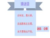 可愛的企鵝 加糖課件PPT
