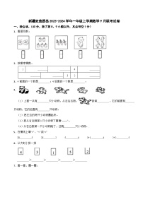 新疆麦盖提县2023-2024学年一年级上学期数学9月联考试卷